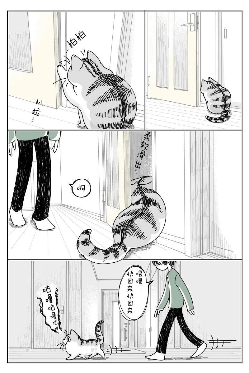 第236话0