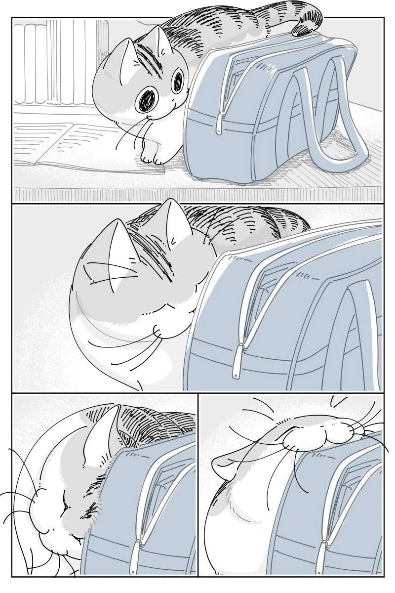 第236话2