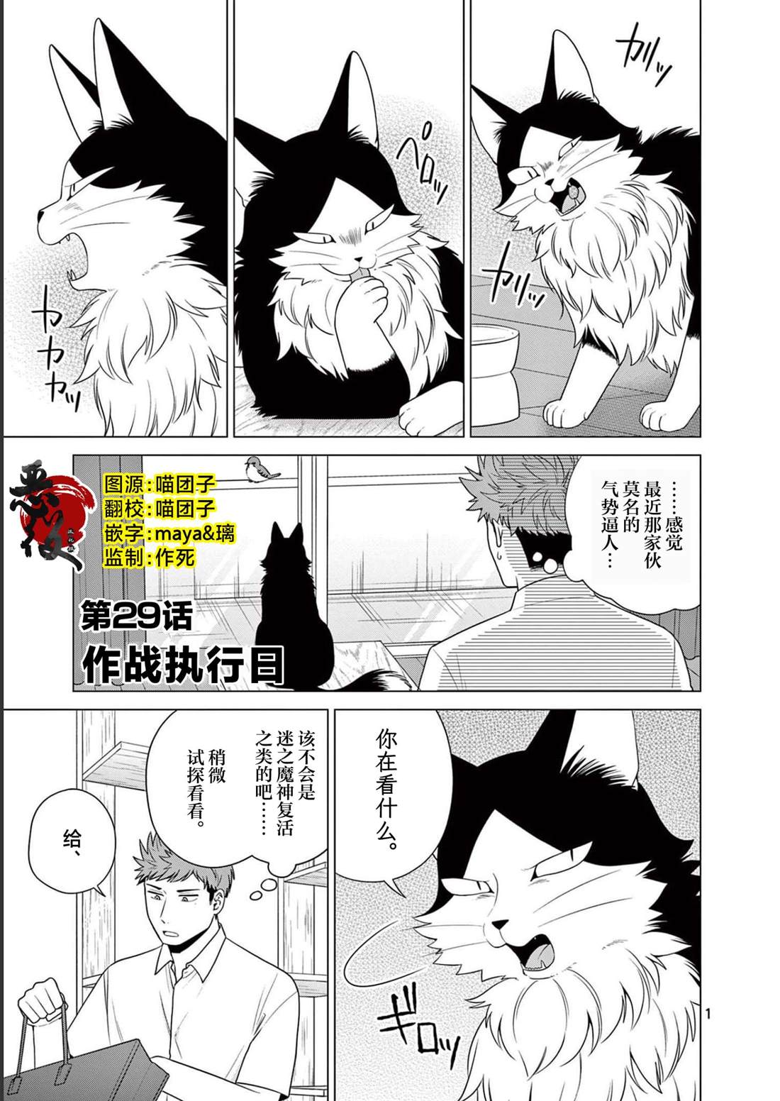 第29话 作战执行日0