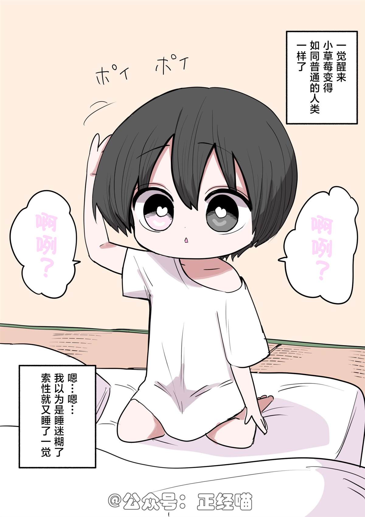 混血魅魔与巧克力1